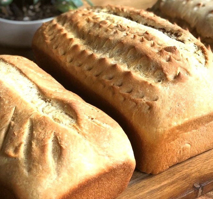 Simple Whole Wheat Bread